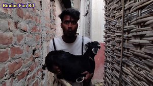 110K views · 3.6K reactions | New Funniest video funny comedy video 2024 Bindas fun bd #fun #funny #comedy #BindasFunJoke | Bindas Fun Bd | Facebook