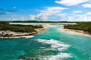 Best Diving in the Bahamas | 20  Top Dive Sites