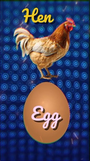 Who Came First? Hen vs Egg Controversy END Today! 🤯🤯 #facts #shorts