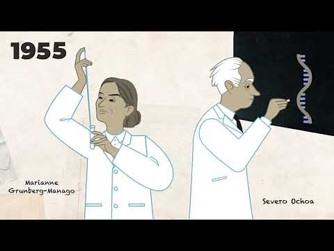Severo Ochoa y el código genético: descifrando mensajes encriptados