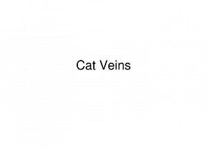 Cat Veins - SlideServe