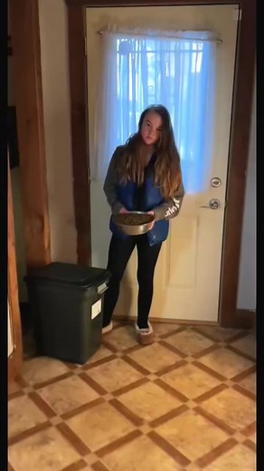 Early Morning routine #xlbully #puppiesoftiktok #dogsoftiktok #fypシ #xlbullies #cutedog #youpage #dogtraining #frenchbulldog #bulldog #englishbulldog #bulldogsofinstagram #bulldogs #bulldogfrances #frenchbulldogsofinstagram #frenchbulldogs #bulldoglove #bulldoglife #americanbulldog #englishbulldogs #frenchbulldogpuppy #igbulldogs_worldwide #bulldogingles #englishbulldogsofinstagram #bulldogpuppy #bulldogsofig #französischebulldogge #frenchbulldoglove #french_bulldogs #frenchbulldoglife #britishb