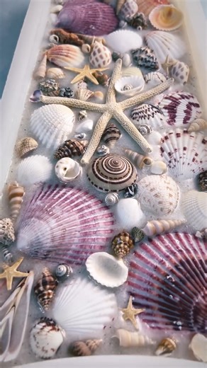 Shell day #shells @craftedelementsco Project: @tidalwaveresin #coastalart #oceanart #shellart #coastaldecor #reels #reelsinstagram #charcuterieboard #resinprocess #processart #resinartwork #epoxyart #tropicalart #beachhomedecor #beachy #etsyfinds #giftideas #explorepage #coastalstyle | Crafted Elements