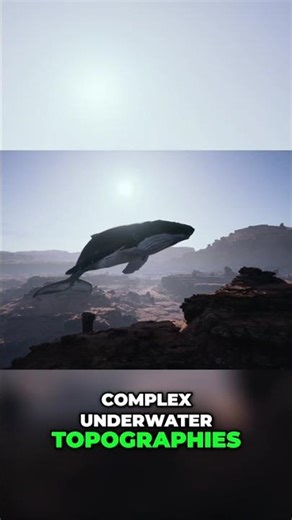 How Whales Use Echolocation to Survive