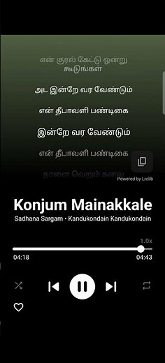 Konjum Mainakkale with Lyrics | Sadhana Sargam Hits | A R Rahman Hits |Kandukondain Kandukondain (1)