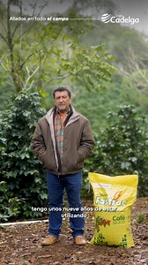 Al integrar Fastrac en sus cultivos, Don Nelson logró granos uniformes, fuertes y con un rendimiento excepcional. 💪 Su esfuerzo, combinado con esta solución efectiva, aseguró cosechas que marcaron la diferencia. ✅ ¿Y tú, ya lo usaste para potenciar tu producción de café? #Fastrac #CosechasDeÉxito #Café #GrupoCadelga #AliadosEnTodoElCampo | Grupo Cadelga