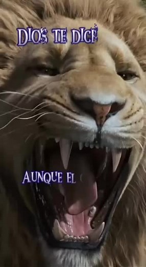 Majestic Lion Clips: Roaring and Walking in Nature