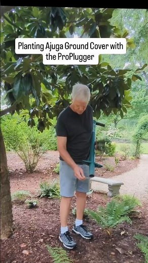 Planting Ajuga Ground Cover with the ProPlugger 5-IN-1 Planting Tool 🇺🇲 #proplugger #garden #plant