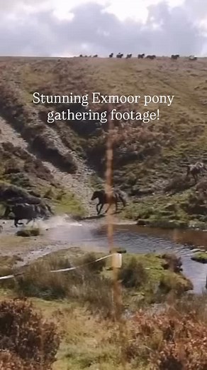 Love this amazing footage! | Exmoor National Park