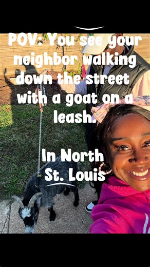 Only in North St. Louis City 😭 I can’t make this up… I’m just trying to check on a tenant and see this man out here walking his GOAT like it’s a poodle!! 🐩 🐐 This is exactly why I love my city… never a dull moment, just real people and real stories everywhere you go. I’m so St. Louis…. #NorthStLouis #StLouisRealEstate #LandlordLife #Section8 #SmallBusinessOwner