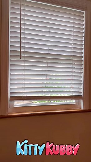 Kitty Kubby on TikTok