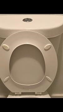 2020 glacier bay dual flush toilet