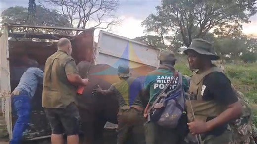 LEWIS RETURNS TO PROTECTED AREA By Gabriel Josias Muuba A 5-year-old rhino, popularly known as Lewis, which was recently spotted roaming Livingstone townships and later Kazungula District in Southern Zambia, has been safely returned to Musi-oa-Tunya National Park following a successful darting operation by the Department of National Parks and Wildlife (DNPW). Lewis was first seen along Botswana Road a night before moving into Nachilinda Village in Kazungula District. According to police reports,