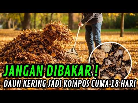 99% of People Are Wrong! Dry Leaves Can Become Instant Fertilizer (Real Proof)