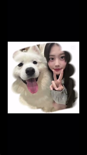 そのちゃんいつもかわいい #今日好き #今日好きになりました #歌詞動画 #その