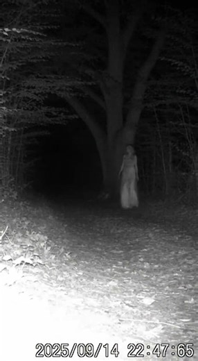Drunk Girl or Spooky Trail Cam Ghost Appears in the Woods? Creepy Ghost Caught on Camera at Night