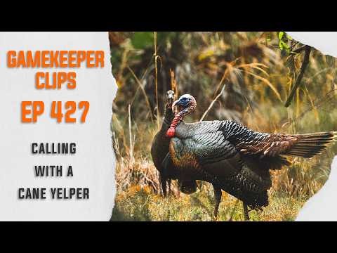 GK Clips 427 | Calling with a Cane Yelper