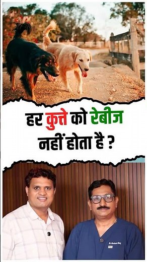 Not Every Dog Gets Rabies! | Dr. Gautam Unny Explains the Truth About Rabies in Dogs