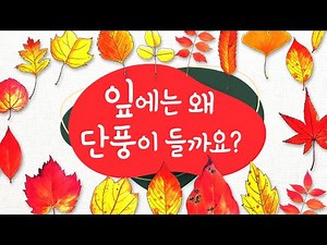 [숲이랑동화랑] 잎에는 왜 단풍이 들까요? l 동화책읽어주기 l 지식과학동화 l 단풍이드는이유 l 동화구연