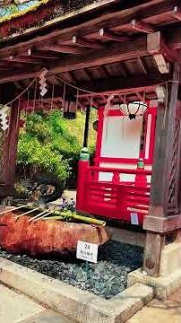 Discover the serene beauty of Mount Kurama ⛰️🌿 in Kyoto, Japan 🇯🇵