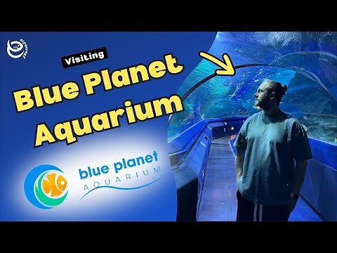 Blue Planet Aquarium UK Full Tour 2024 from Entrance to End (Cheshire Oaks)