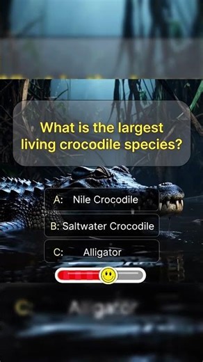 What is the largest living crocodile species? 🐊 #Quiz #USAQuiz #QuizChallenge #EasyQuiz