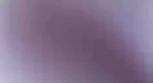 126K views · 1.5K reactions | Die Liefde 沈沈❤️❤️❤️❤️❤️❤️❤️ Pls leave the PA regalia at home gents, asseblief tog . SG Chinelle Stevens, DSG Meshe Habana kom op, deal tog met die case | Gayton Mckenzie | Facebook