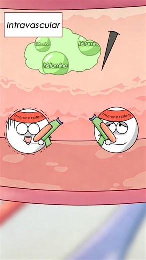 Why Do Mosquito Bites Itch? (Spoiler: It's Your Body's Fault.) #shorts