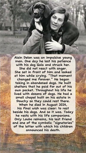 The Silent Lesson That Turned Alain Delon Into a Dog’s Guardian #truestory #inspiration #alaindelon