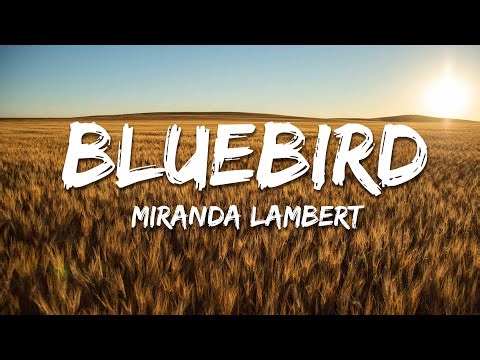 Miranda Lambert - Bluebird (Lyrics)
