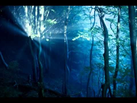 Chris Cornell - Never Far Away