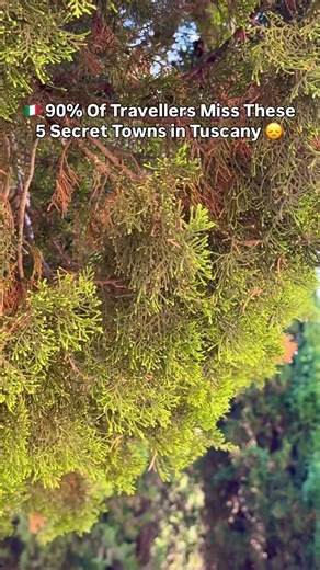🇮🇹 90% Of Travellers Miss These 5 Secret Towns in Tuscany 😞 Most people rush to Pisa, Siena, and San Gimignano… but these small towns are where the real Tuscan charm lives — no crowds, overpriced menus, or long queues. Just rolling hills, locals who still say buongiorno, and views that feel like a painting. Here are 5 towns you’ll wish you knew about sooner: 🥀 1. Montemerano – A medieval hilltop gem in southern Tuscany with stone lanes, archways, and one of Italy’s best-rated restaurants, Da