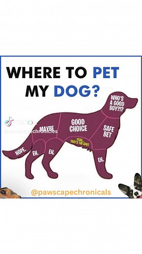 Unlock the Ultimate Doggy Bliss! 🐾 Best Spots to Pet Your Pup 🐶 #PettingGuide #DogLove #DogCare #PettingTips #FurryFriends 🐕 Curious about the paw-some places to pet your furry friend? Dive into the ultimate guide to unlocking your dog's happiness! From ear scratches to belly rubs, I've got you covered. Share the love and create unbreakable bonds with your pup! 🐾✨ If you enjoyed this video, please like, share, and subscribe to my channel @ for more fun and informative content. And don’t forg