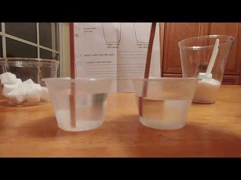 Sugar cube vs. Sugar grains dissolving experiment