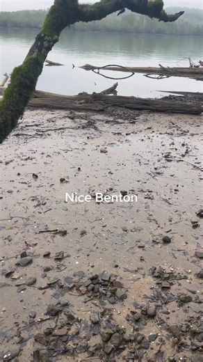 Arrowhead hunting sweet home Alabama