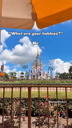 383 reactions · 39 shares | My hobbies are simple, really.  Follow  @dadsguidetowdw for Disney Magic, memes, tips, reviews and more!  #disneyworld #disneyvacation #disneyplans #disneyplanning #disneypark #disneyholiday #disneyfamily #disneylove #disneyside #disneyblog | Dad's Guide to WDW | Facebook