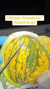 Tribe Medical | We practiced the “Loop N Tack” Biceps Tenodesis technique with a few gourds. It started as an open procedure and then we decided to up the... | Instagram