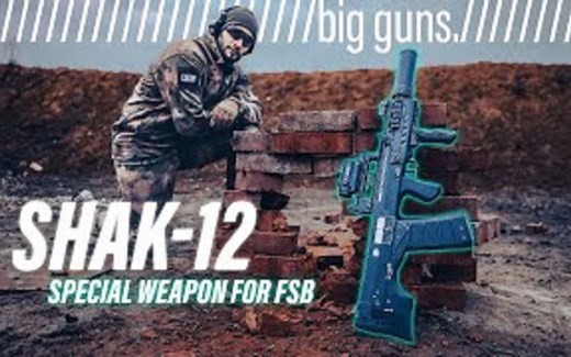 【搬运/已加工字幕】ShAK-12大口径突击步枪 性能展示_哔哩哔哩_bilibili