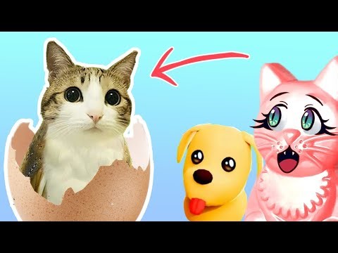 🤯ИЗ ЯЙЦА ВЫЛУПИЛАСЬ КОТОСОВА! ADOPT ME РОБЛОКС!