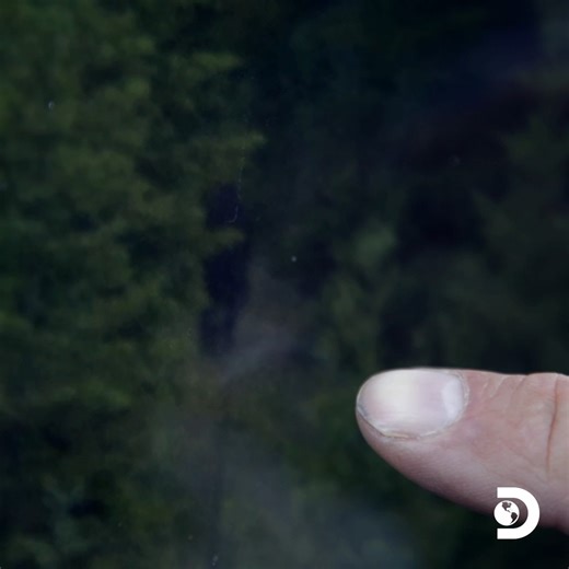 208K views · 1.2K reactions | Is this the proof we’ve been waiting for or just the beginning of something bigger?  Watch a new episode of #ExpeditionBigfoot Wednesdays at 10p on Discovery! | Discovery | Facebook