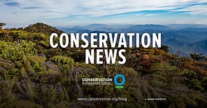 Conservation News | Conservation International