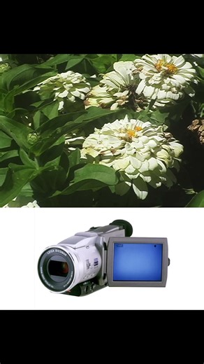 ✨PANASONIC NV-MX2500 MiniDV Camcorder #camcorder #panasonic