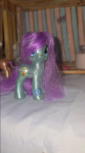 Mlp collector check✨️🦄 #mylittlepony #pony #mlp #collection#mylitleponycollection