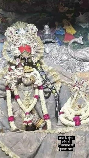 आज के श्रृंगार दर्शन श्री राधाबल्लभ जी वृन्दावन धाम#silent_coder #radhe #krishnastatus #radhakrishna