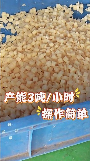 九盈机械三维果蔬切丁机竹笋切丁，高速切割简单操作，适用根茎类叶菜类的加工 3D Fruit and Vegetable Dicer – Bamboo Shoot Dicing
