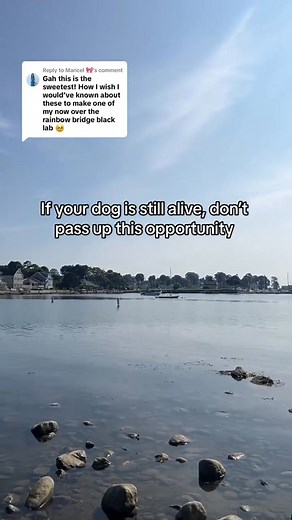 No ink. No mess. All memories. 🐾 Create keepsakes that last a lifetime with FurEver Prints — now discounted for Black Friday. Great for holiday crafts, gifts, or preserving your furry friend’s pawprint forever. https://thebrightboxx.com/products/memorypress-non-contact-ink-pad | Bright Boxx