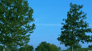 ❗️NEW from E-flite!❗️ The UMX Conscendo BNF Basic takes the wildly popular and versatile Conscendo aerobatic glider and brings it down to a UMX size you can enjoy in much smaller flying spaces. Whether you're looking to push the aerobatic capabilities or slow down and soar, this one has a lot to offer. Order now at Tower Hobbies: https://towerhobbies.cc/UMXConscendoBNFBasic #efliterc #umx #rcairplane #towerhobbies | Tower Hobbies