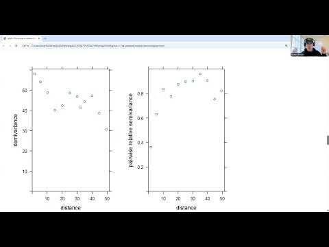 gstat 2 The pairwise relative semivariogram