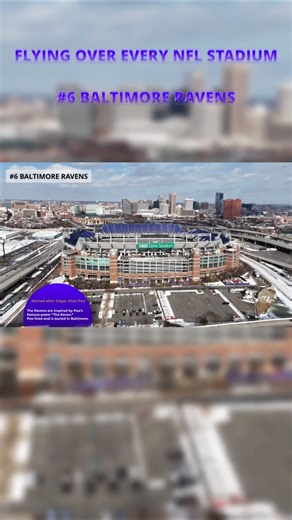 Did You Know This About the Baltimore Ravens?