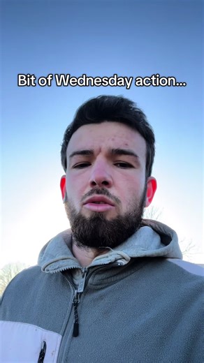 Exploring Daily Farm Life with Cows and Pigs